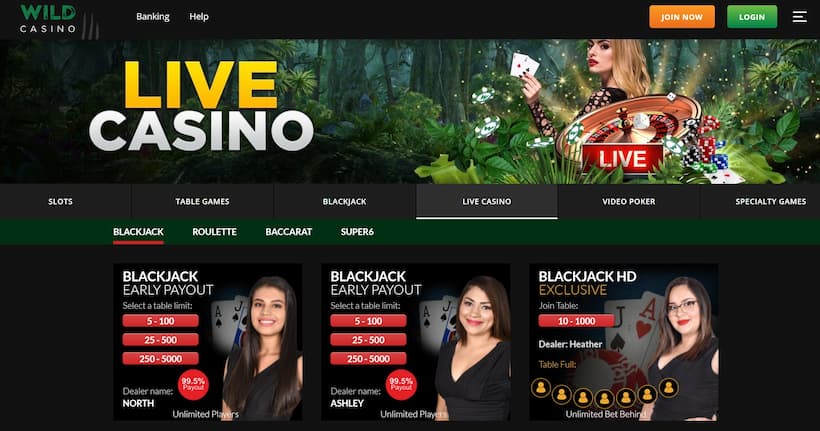 wild casino website homepage screenshot